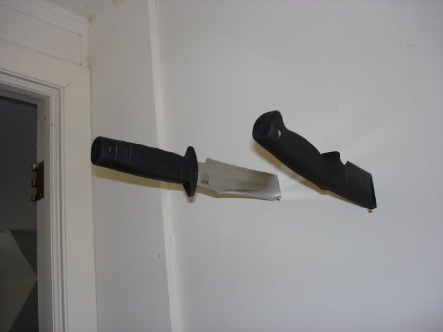 Picture3107.jpg