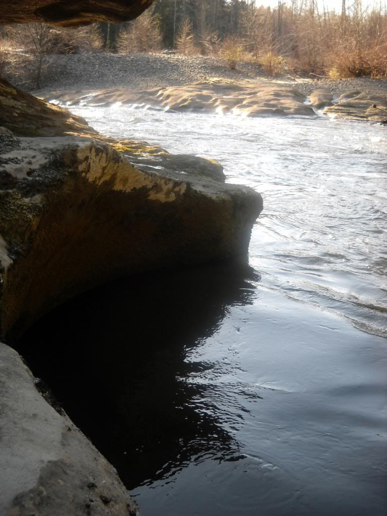 DSCN0288.jpg