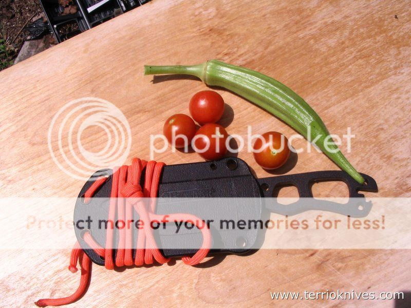 Image3_zps2c9fb7b0.jpg