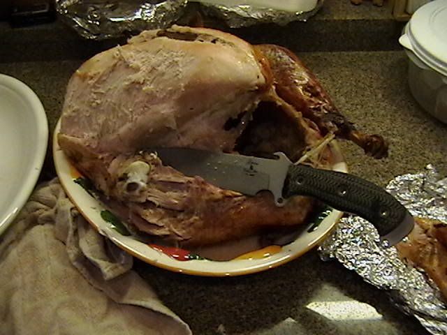 TurkeyMefo008.jpg