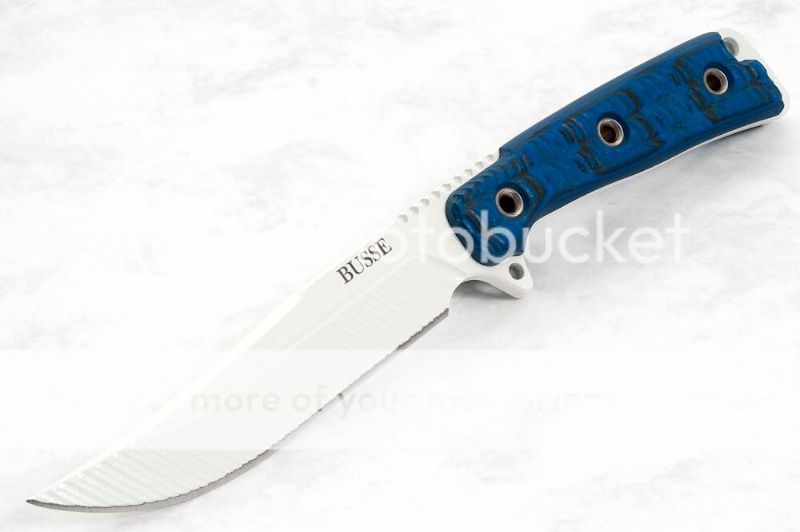 BUSSE.jpg