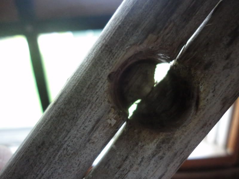 bowdrill001.jpg