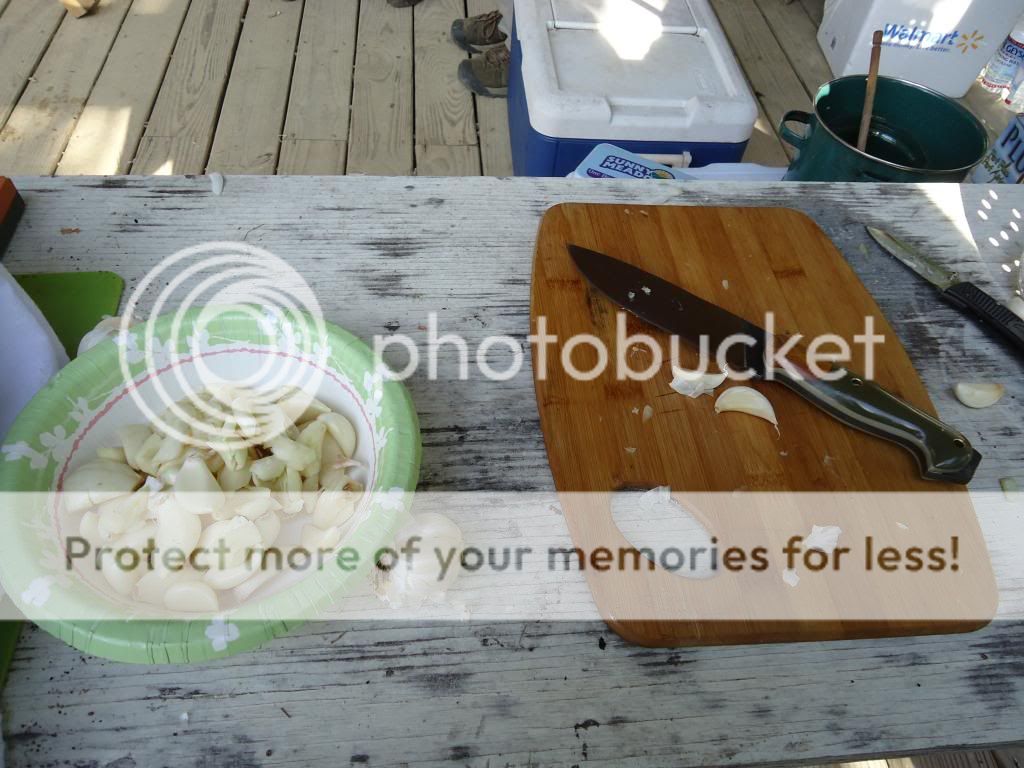 DSC00596_zps7b8bc6b7.jpg
