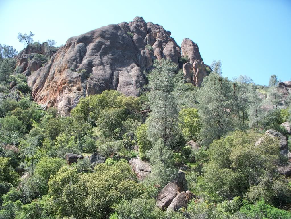 Pinnacles2010009.jpg