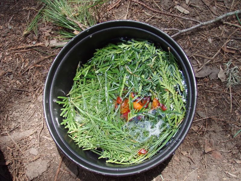 bwca2010hike105.jpg