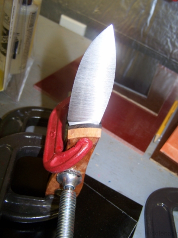 Drig102_0430-vi.jpg