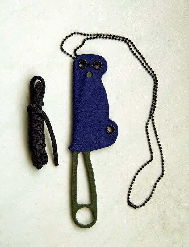 RC-ESEEIzulaOwlNeckerBlue.jpg
