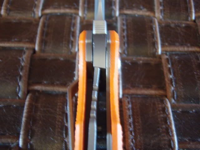 P5100484.jpg