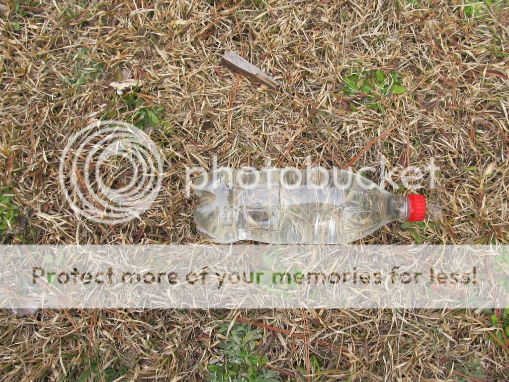 019_zpsd9f14593.jpg