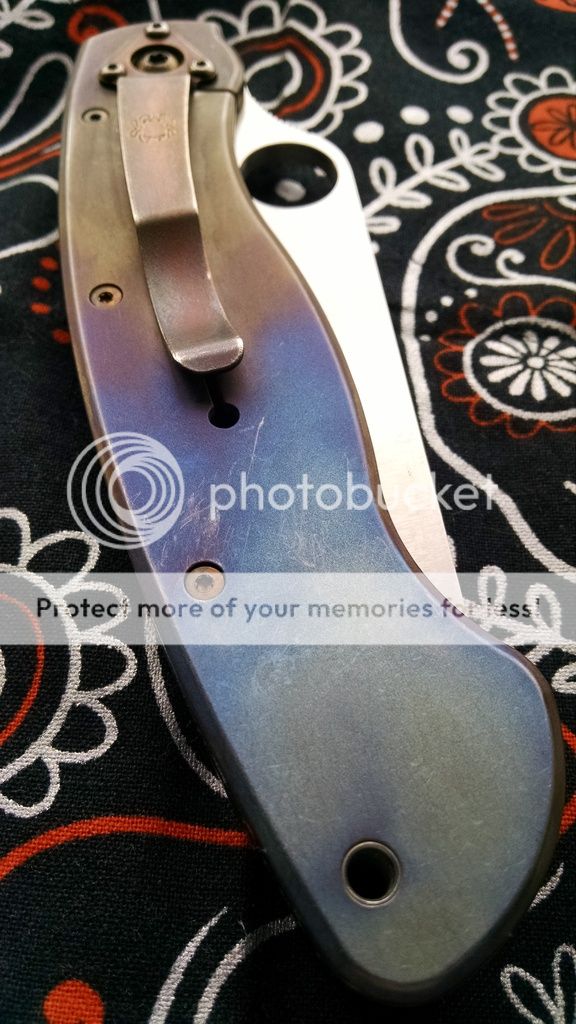 Ti%202-yr%20Old-1.jpg