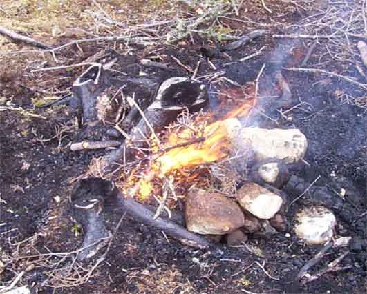 shbm_fire.jpg