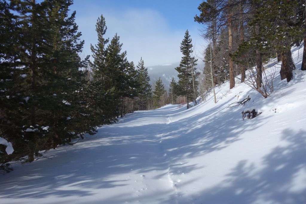 DSC02489_zpskdbceli2.jpg
