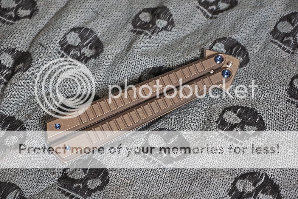 P2070090_zpss6e5e1vk.jpg~original