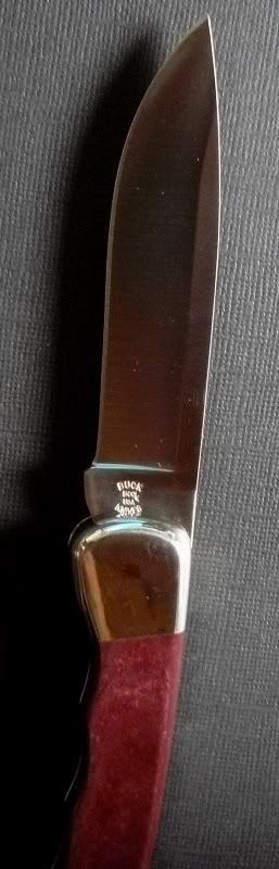 11-10-2010014.jpg