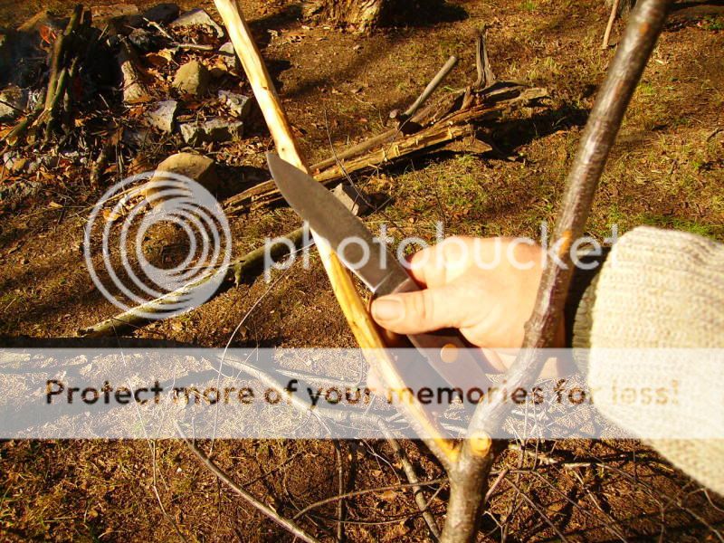 PICT0195.jpg