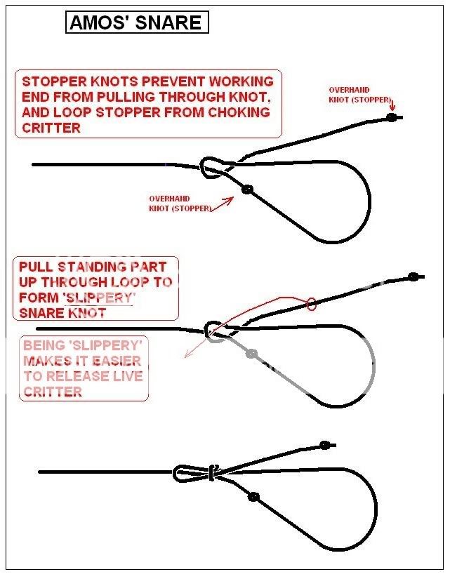 AMOSSNARE.jpg