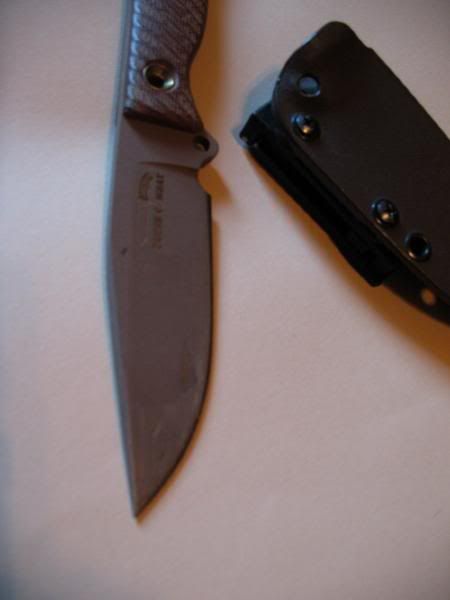 img3750.jpg