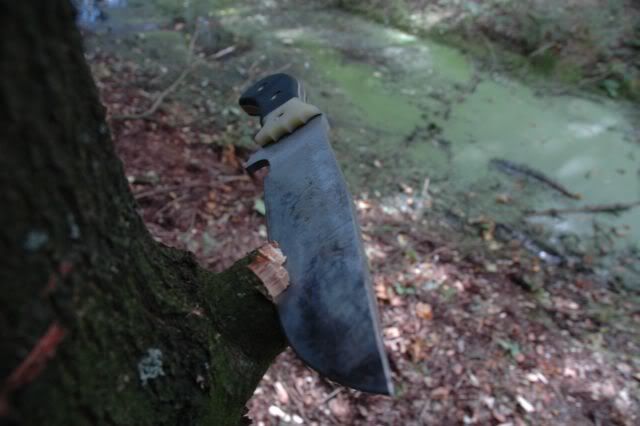 Afbeelding073.jpg