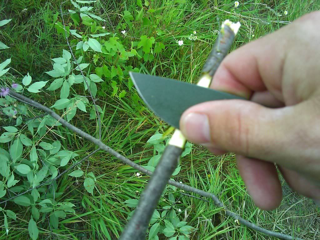 IMAGE_132.jpg