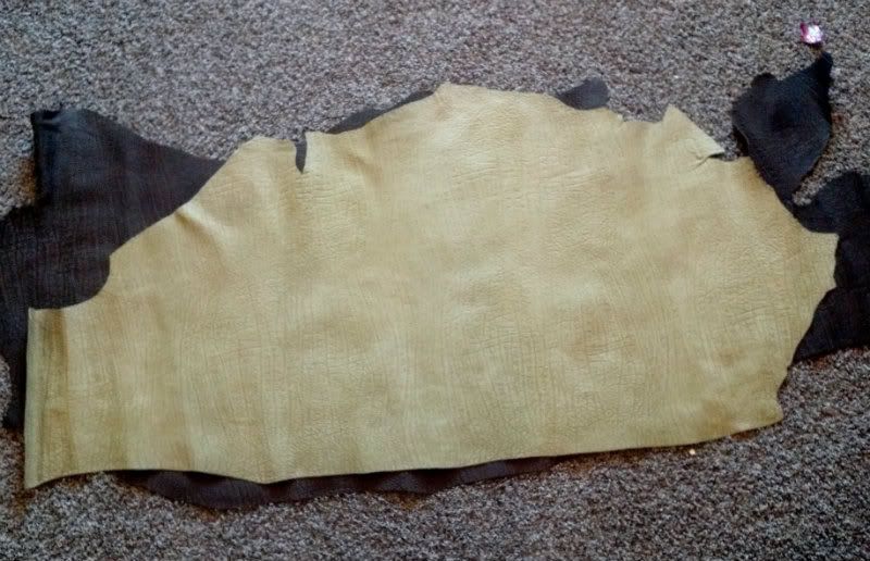 IMG_20121115_161419.jpg