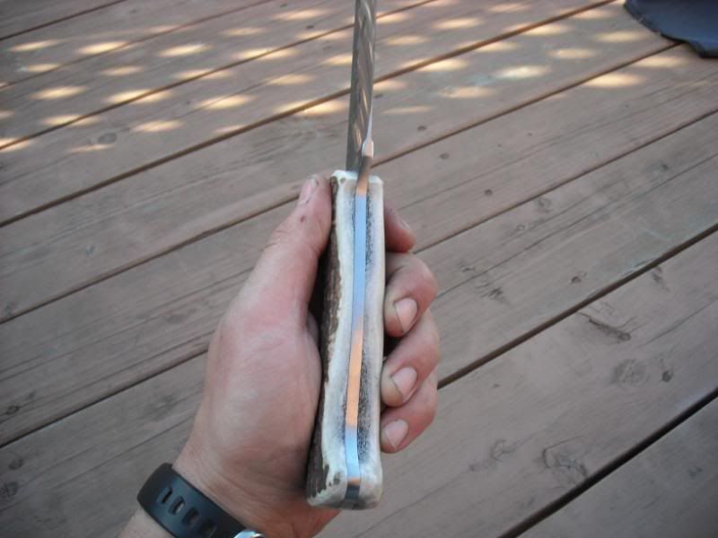 ElkHudsonBaywithsheath004.jpg