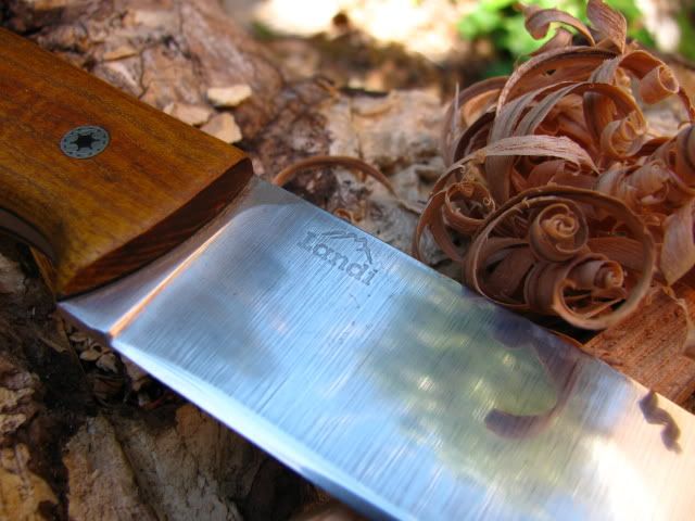 Browninglight019.jpg