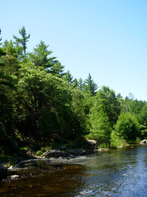 DSCN0789.jpg