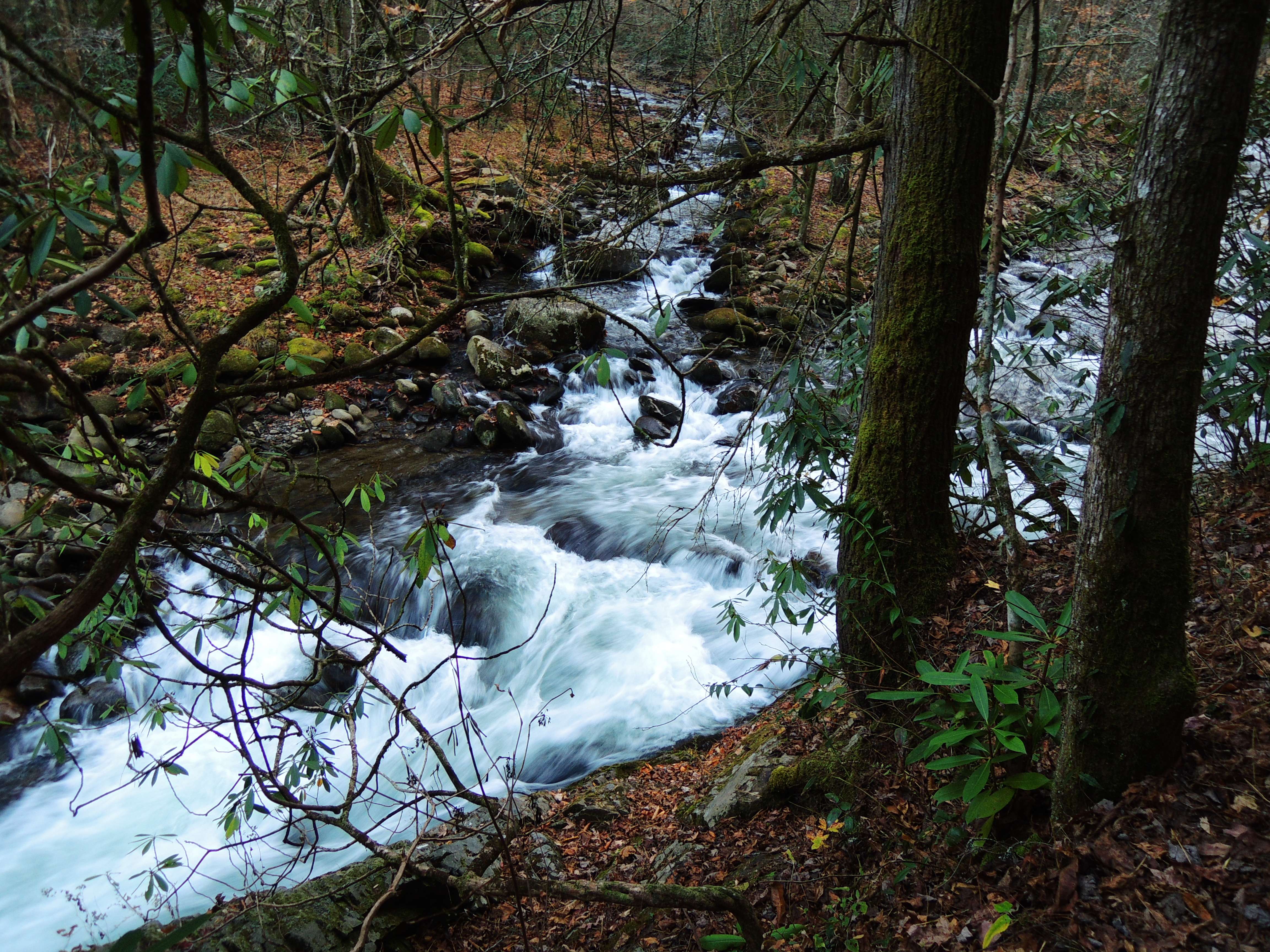 dscn3270yz.jpg