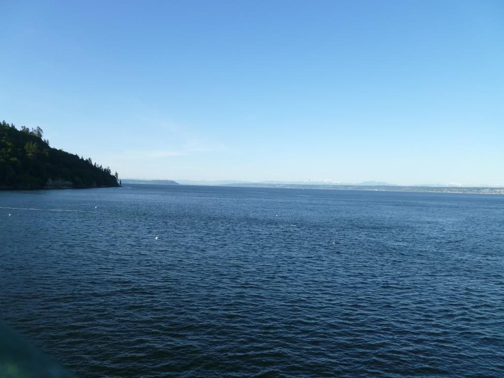 P1000317.jpg