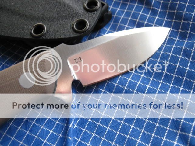 TK2265003.jpg