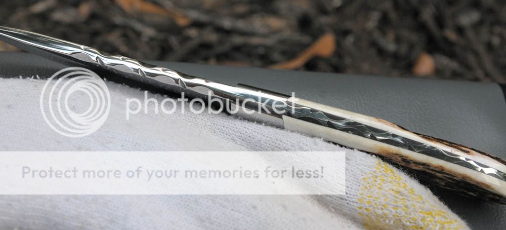 DSC_2235b_zpscstttuzt.jpg