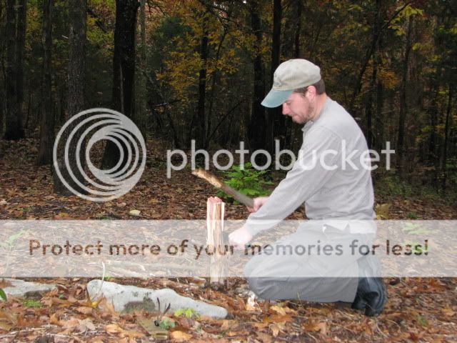 IMG_1029.jpg