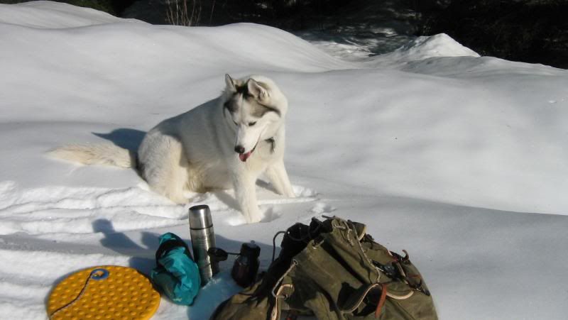 begbiewalk034.jpg