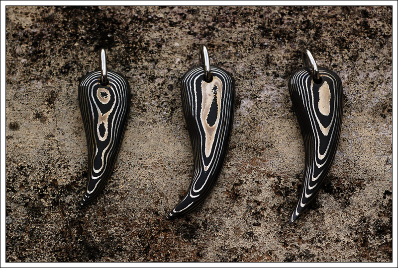 271109claws2.jpg