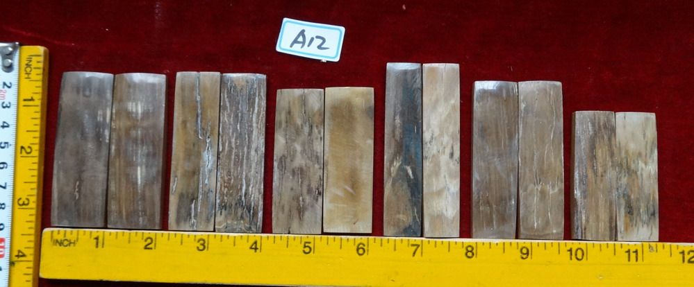 DSC00318_zps15210feb.jpg