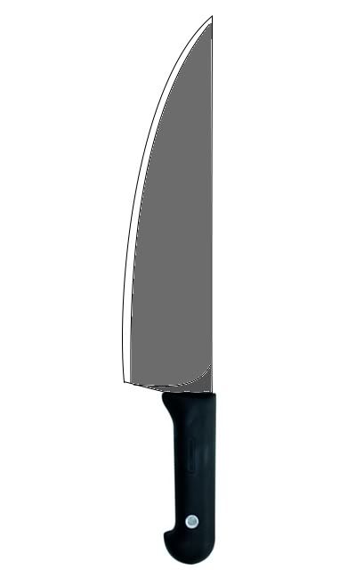 CondorChef.jpg
