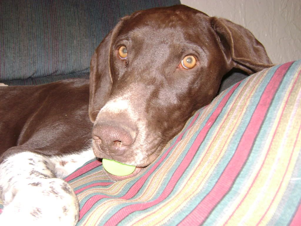 DSC00571.jpg