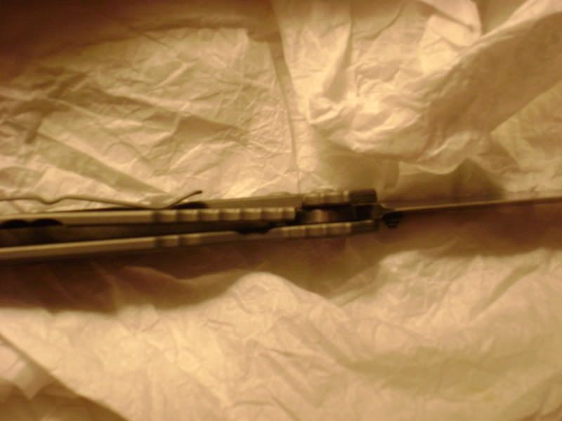 DSC00486.jpg