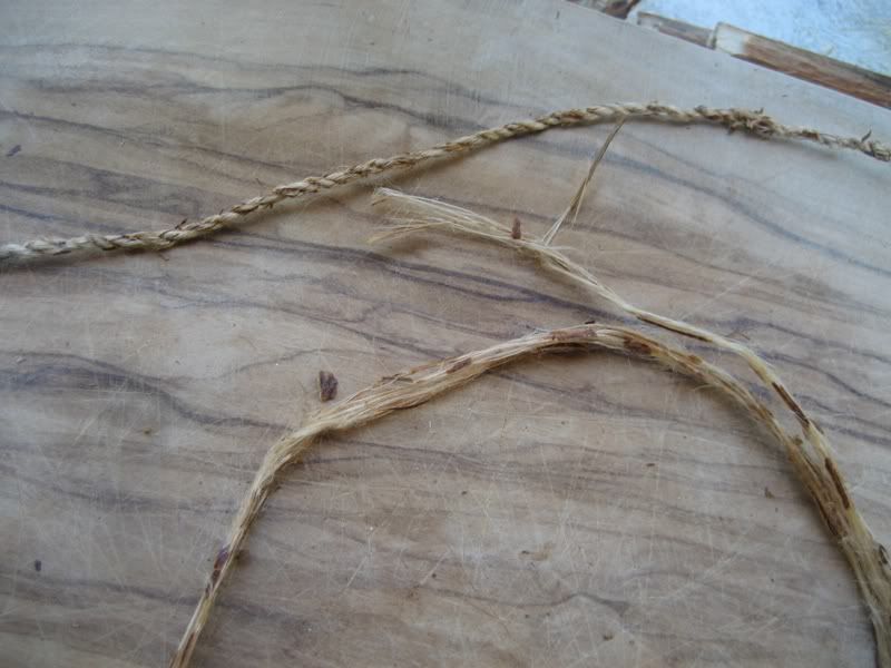 dogbanecordagevsfibers-1.jpg
