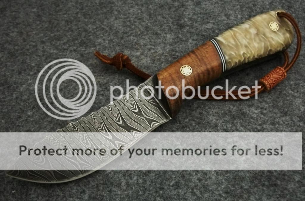 BULLWHIP-2032.jpg
