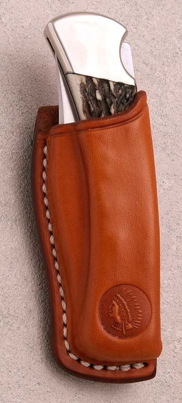buck110sheath2.jpg