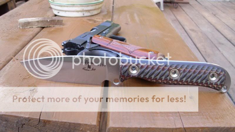 SampWE1911WC180_zpsbce5a325.jpg