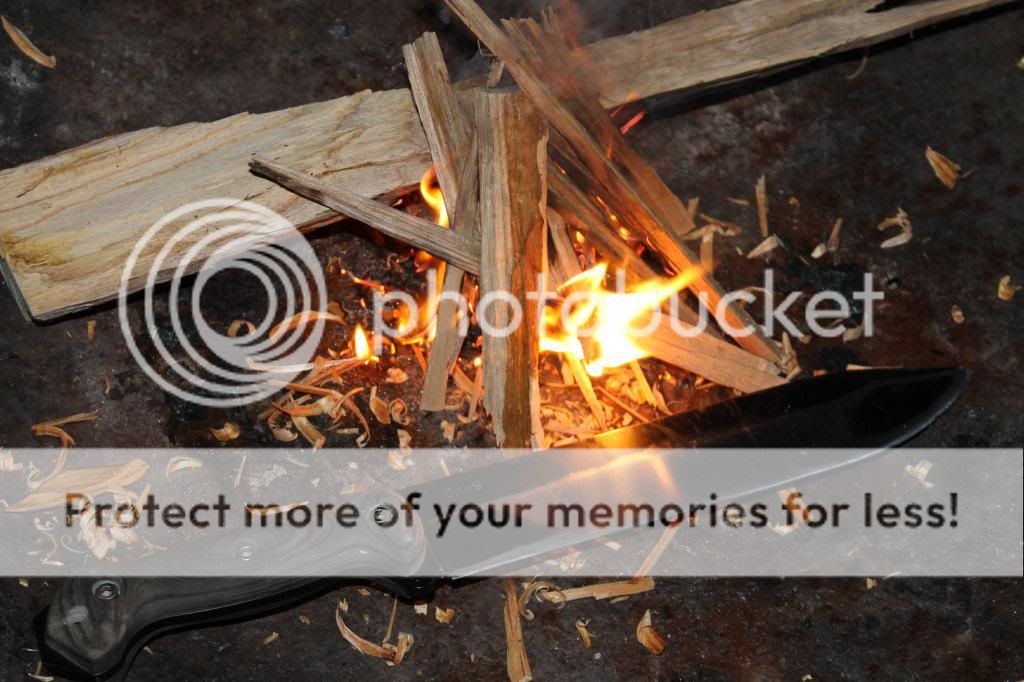 IMG_2285_zps60570f71.jpg