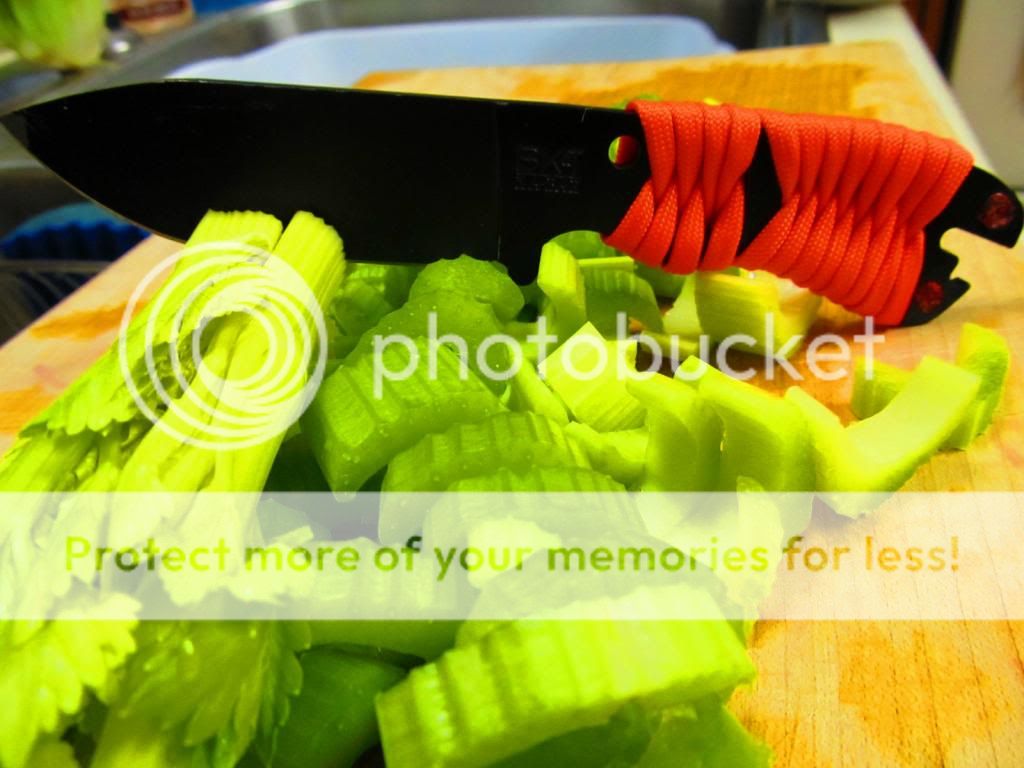 IMG_2493_zpsba8ae7ea.jpg