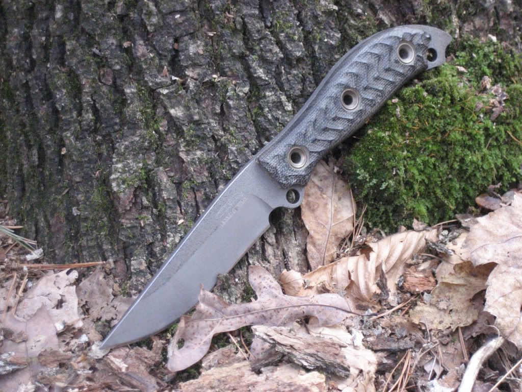 busse13.jpg