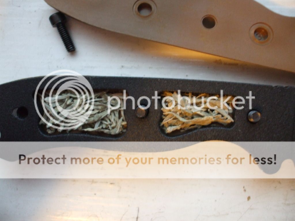 DSCF5641.jpg
