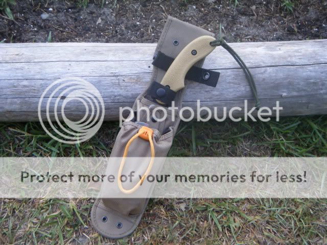 DSCF9614.jpg
