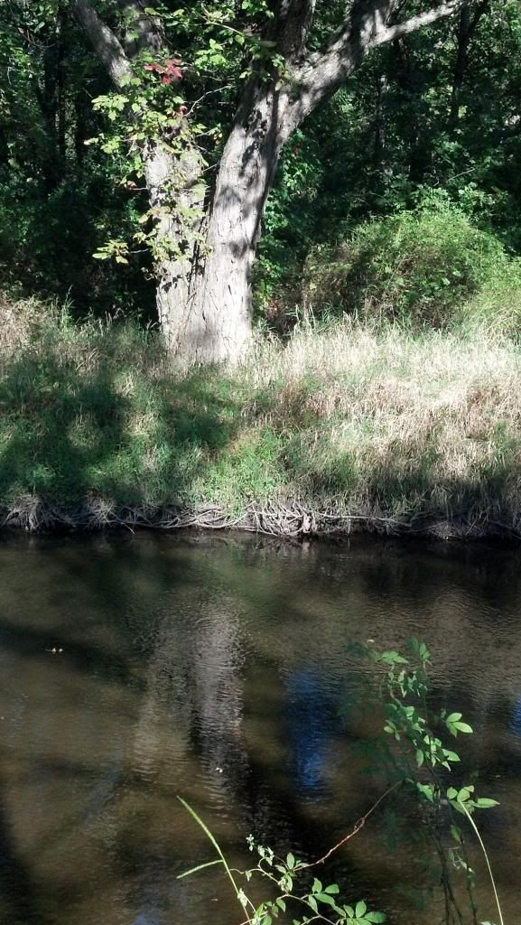 2012-09-15_09-17-36_41_zpse65a2859.jpg