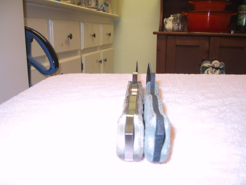 Picture013.jpg