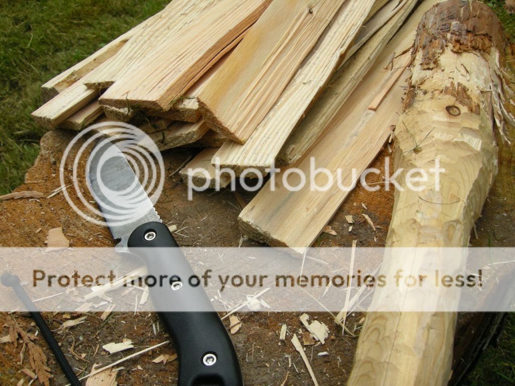 FireContest021.jpg
